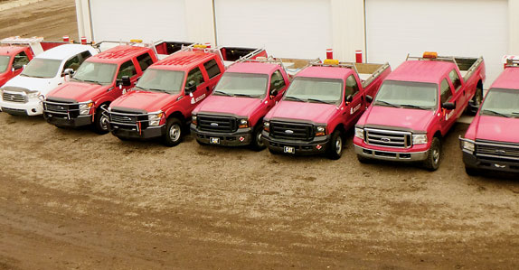 Line-up of pick-up trucks